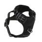 Preview: DOOG Neotech Harness Black Gr. M